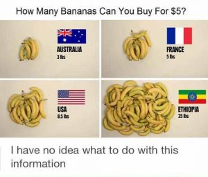 The All New Banana Scale