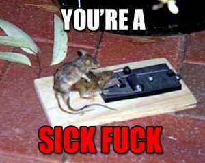 Inappropriate animal behaviour