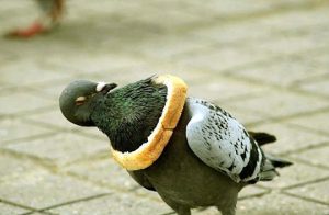 “What did I just do?”