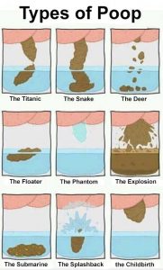Types Of Poop