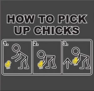Picking up chicks