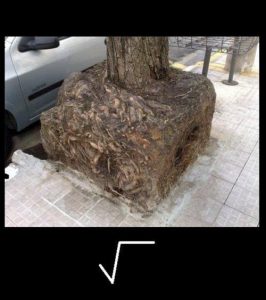 Origin of the square root symbol