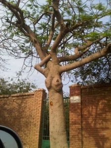 This looks very similar to...