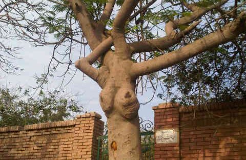 This looks very similar to...