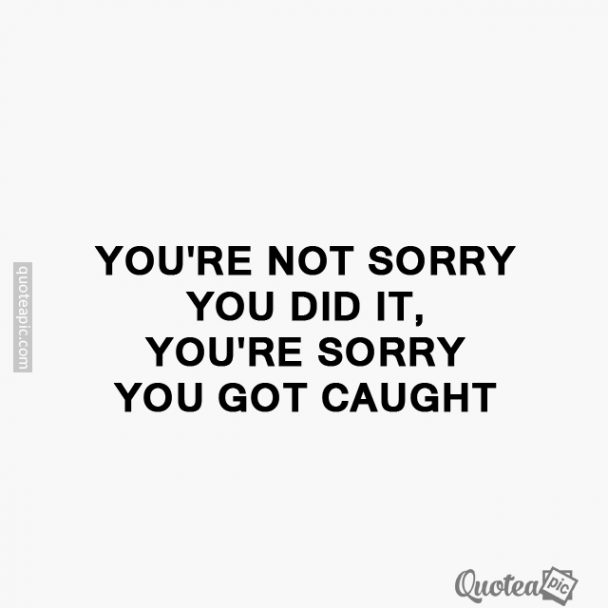 You're not sorry
