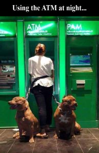 There's Nothing To Be Afraid Of