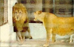 A Woman Is A Woman Doesn't Matter Who The Hell You Are !