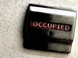 Air Hostess Made A Fortune For 'Secret Toilet Sex' Welcome To The Mile High Club