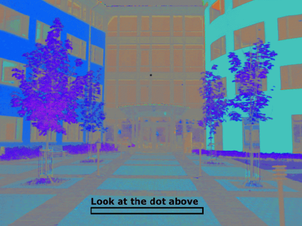 Never Trust Your Eyes Again