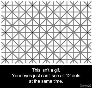 Can You See All 12 Dots At Once ?