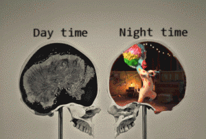 This Is Pretty Much How My Brain Works