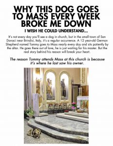 We All Know Dogs Are Loyal, But This Is Unreal