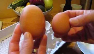 This Man Found A Weird Egg With Strange Contents Inside