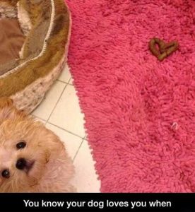 Aww, He Loves Me So Much...Oh