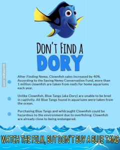 Don't Find A Dory