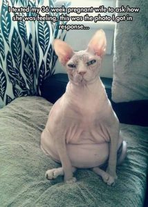Pregnancy Update