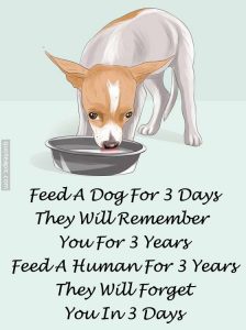 Agree or Disagree ?