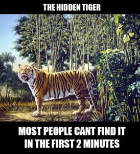 Find The Hidden Tiger