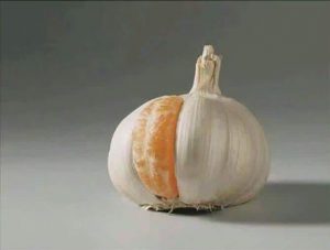 Not Every Place You Fit In Is Where You Belong