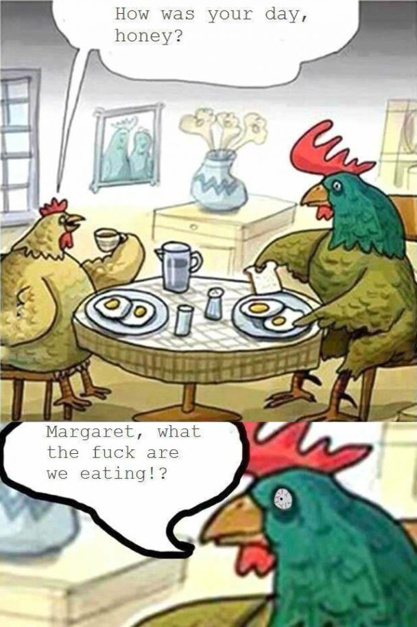 Chicken Cannibalism