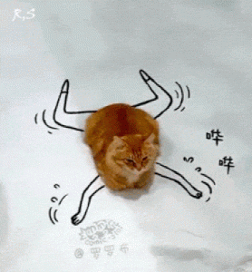 I Can Do Everything