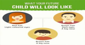 The Perfect Guide To What Your Future Child Will Look Like