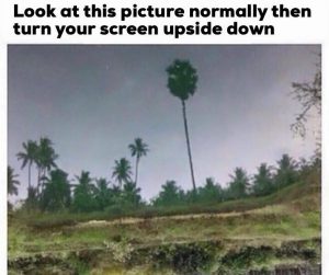 I Just Love Reflections