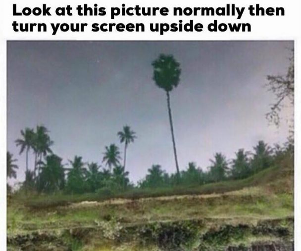 I Just Love Reflections