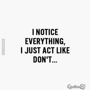 I Notice Everything