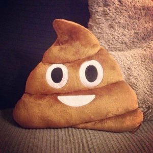 Is It An Ice Cream Or Poo