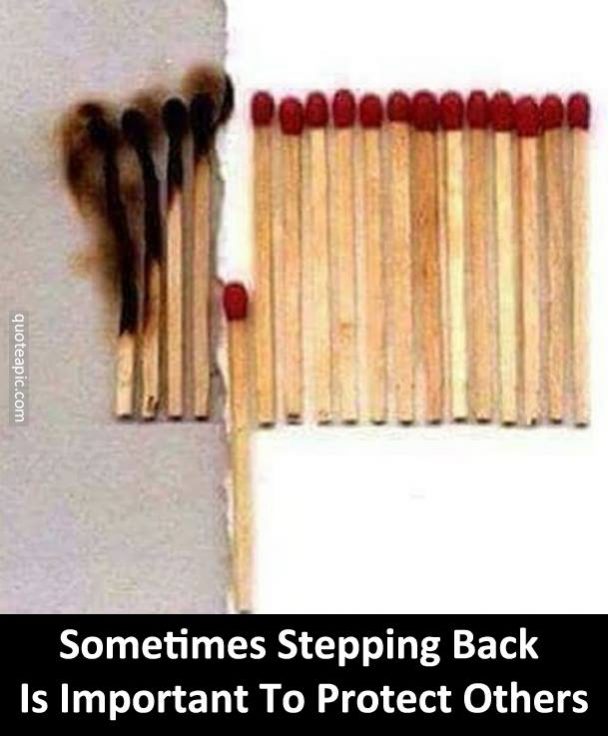 It's Important Sometimes To Step Back