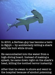 Possibly The Best Story Ever