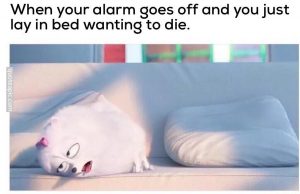 I Just Want To Sleep