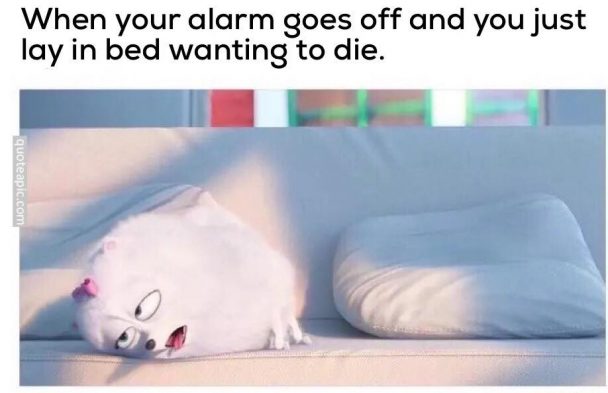 I Just Want To Sleep