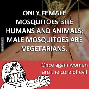 Males Are Vegetarians !