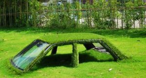 19 Creepy Photos Of Nature Reclaiming What We Took From Her