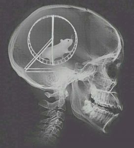 Non Stop Thinking