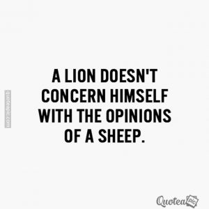 Opinions Of A Sheep