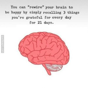 Did You Know That You Can Rewire Your Brain