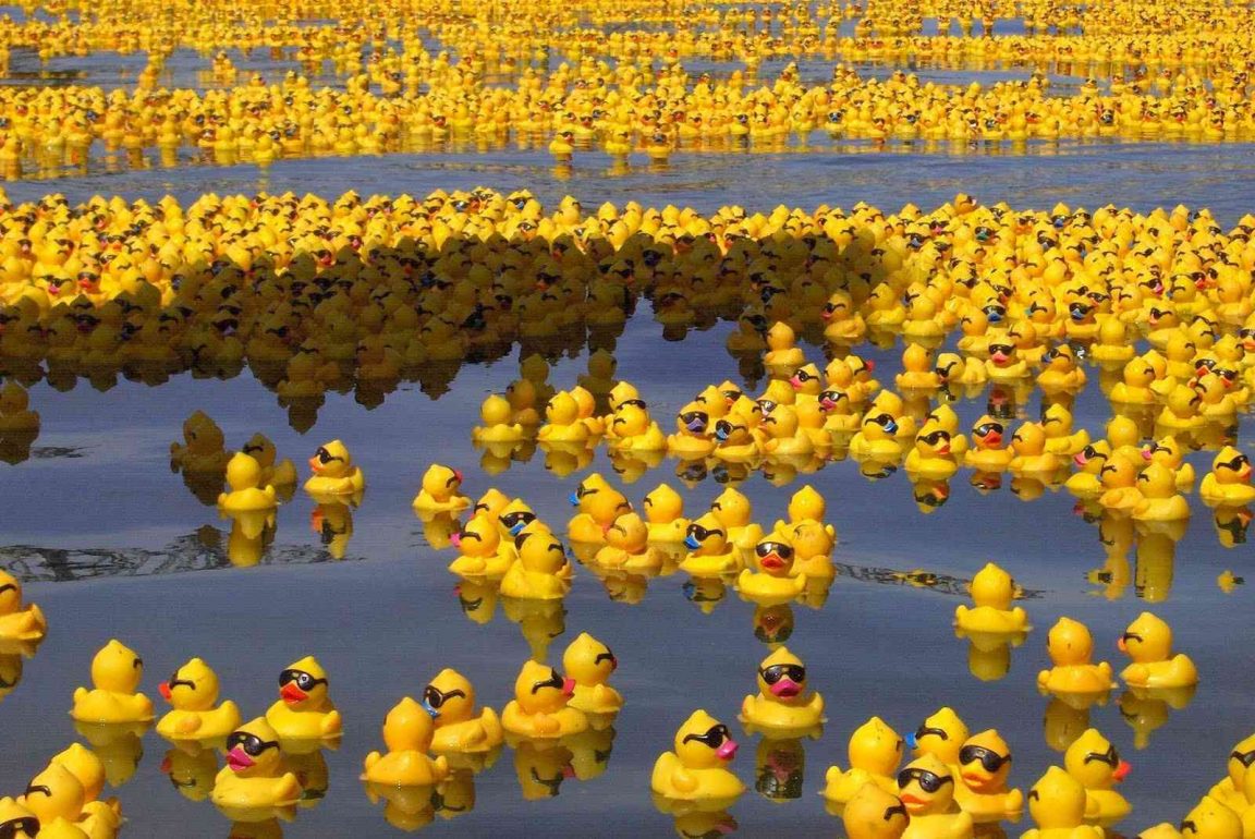 Thousands Of Rubber Ducks To Land On Shores After 15 Year Journey