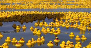 Thousands Of Rubber Ducks To Land On Shores After 15 Year Journey