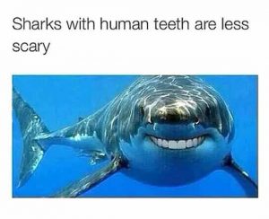 Shark Smile