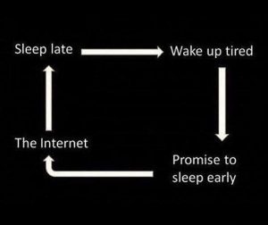 The Circle Of Life Today