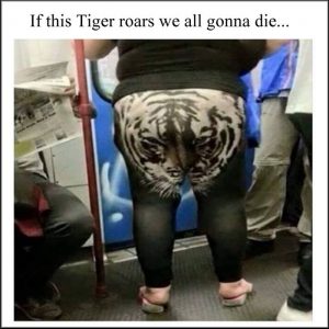 The Eye of the Tiger