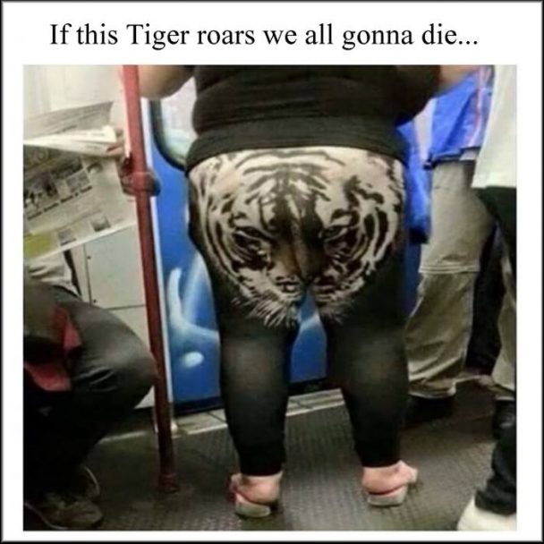 The Eye of the Tiger