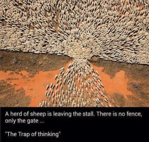 The Trap Of Thinking