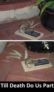 Think You're Having A Bad Day