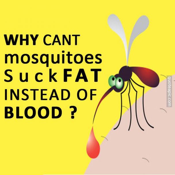 This Idea Would Solve So Many Problems