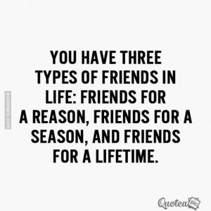 Three Types Of Friends