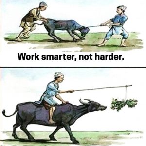 Smarter Not Harder